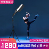 神牛（Godox） LC500/LC500R/LC500mini补光灯LED补光棒灯摄影灯可调色温户外便携人像冰灯外拍录像RGB灯棒手持 【7】彩光版LC500R【单灯套装】