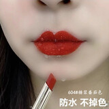 兰奕（LANYI）李佳琪推荐不掉色不沾杯豆沙色口红雨衣哑光素颜显白持久防水滋润 #604糖浆番茄色  自带口红雨衣