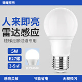 梵耀 LED雷达感应灯泡 光控 楼道小区物业楼梯车库 智能自动亮球泡灯 5W-雷达