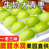 尔蝶云南牛奶大青枣 贵妃奶蜜枣新鲜水果甜脆孕妇水果整箱 精选9斤装 净重8.5斤
