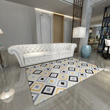 sunjackie地毯客厅加厚北欧轻奢毯时尚简约现代几何沙发茶几地毯卧室床边毯 FS-T14 120x160 cm