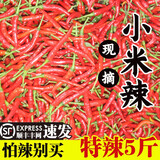 囧仙子小米辣椒新鲜1-5斤特辣小米椒朝天椒超辣薄皮土红辣椒指天椒 红小米辣椒5斤