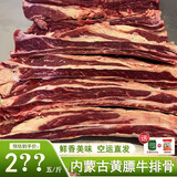 YANLIXI内蒙古黄膘牛排草原黄彪牛肋排肥而不腻纯肋排四肋牛肉烧烤火锅 黄膘牛排5斤