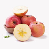 京鲜生 正宗新疆阿克苏苹果 脆甜苹果 2.5kg单果190-240g 新鲜水果