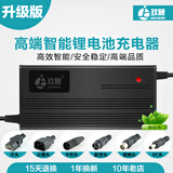 玖晟智能电动车锂电池充电器适用雅迪爱玛珑玥菲尔松吉舜意金时捷台铃 48V10A(锂电输出58.8V10A) T型品字孔
