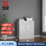 雪星（Snow star）钢制文件柜铁皮柜矮柜资料办公室档案财务凭证柜员工储物带锁铁柜 二斗下节矮柜 经济款