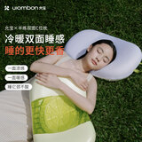 允宝（uiombon）&半练联名凉感枕头记忆棉护颈椎生日礼物送父母七夕 鸢尾紫 B类 单只
