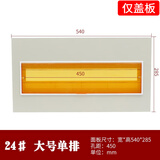 GEIYURIC PZ30配电箱铁盖板面板 单双三排明暗装盒盖子家用电表箱盖板 单排24回路铁盖