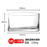 OIMG郁金香水培容器水培玻璃花盆郁金香水养花瓶水仙绿萝风信子植物透 8cm*20cm圆形 大