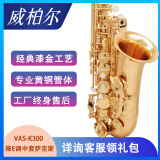 VIBRA（VIBRA）萨克斯降e调中音萨克斯风管乐器零基础初学考级演奏通用 K300经典款专业考级【全套礼包】