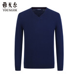 雅戈尔（YOUNGOR）【全羊毛】26秋冬季新款男士V领上班打底针织毛衣 蓝色 95cm
