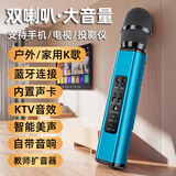TINGSHENGZHE无线话筒音响一体麦克风k歌神器手持家庭专用ktv蓝牙电视卡拉ok手机扩音器自带声卡套装会议直播 【双喇叭大音量-操作简单】绿色 官方标配