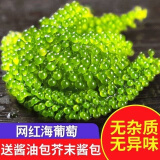 海葡萄 盐渍海葡萄100g新鲜活即食长寿菜海藻菜海菜寿司鱼子酱 100g*1包海葡萄 配蘸料