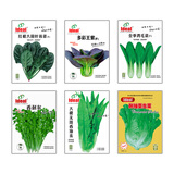 ldeal理想农业 蔬菜种子菠菜生菜香菜油麦菜鸡毛菜籽 6种蔬菜种子套餐