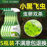皎洁家用花盆专杀花土壤杀虫剂灭花卉植物里的小黑飞非无毒杀虫飞虫药 5瓶