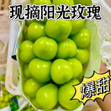 京营觅选  四川阳光玫瑰葡萄晴王无籽香印提子中秋水果礼盒当季新水果 净重2斤装【单果6-8g】