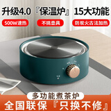 爱仕熊【半价处理】电陶炉围炉煮茶器小型烧水玻璃壶泡茶炉电磁炉电热炉 德国机芯：【仿炭火加热】耐用30年 旗舰品质：远峰绿【节能】