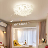 大观园（DGY）北欧设计师卧室吸顶灯意大利浪漫花瓣客厅主灯广东中山灯具194O 24W 9671-53CM-三色光-