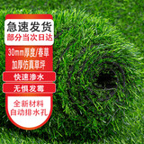 萌肉居 仿真草坪加密假草人造假草皮塑料绿色地毯围挡户外室内幼儿园操场装饰草人工草坪（30mm春草/平方）