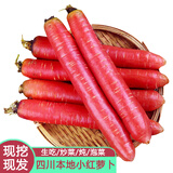 半亩庄园胡萝卜新鲜小红萝卜 应当季甜脆水果型红皮心罗卜蔬菜 5斤