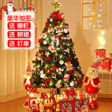 阿宝丽圣诞树家用套餐加密diy发光大型摆件商场店铺ins圣诞节装饰120cm