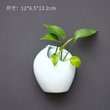 壁挂花盆创意墙上壁挂绿萝水培器皿花瓶水养植物花盆悬挂式插花花 壁挂-唐装(天蓝色)