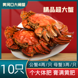 黄河口（HHK）【活蟹】黄河口大闸蟹礼盒4两公3两母源头直达死蟹包赔可发全母 10只