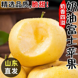 四叔公果蔬（现摘现发）黄金奶油富士苹果 山东烟台栖霞金富士孕妇 当季水果 精选大果 5斤