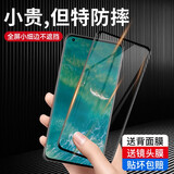 驰库 【贴坏包赔】坚果r2钢化膜全包保护锤子坚果R2手机贴膜高清全屏覆盖smartisan防指纹玻璃曲面防摔 坚果R2【钛金钻石膜 超强防爆】 高清版【触控升级 贴坏包赔】三片装