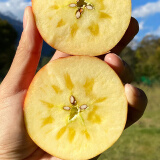 华味仙新疆冰糖心苹果新鲜水果整箱脆甜红富士丑苹果年货礼盒 净重4.5斤
