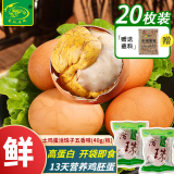 龙凤活珠活珠子40g*20枚 五香味 毛蛋鸡蛋13天新鲜鸡胚钢化蛋开袋即食熟食