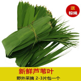 采鲜惠 新鲜芦苇叶 粽叶 天然苇子叶农家粽子叶端午节包粽子 1斤 200片+粽绳（以片数为准）