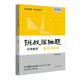 2024挑战压轴题 中考数学—强化训练篇