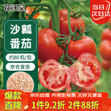 花沃里红蒄大番茄沙瓤西红柿种子80粒 蔬菜种子四季阳台种植盆栽土庭院