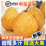 禧友鲜 正宗中华丑梨子大果佛手梨当季送礼顺丰配送软糯多汁太婆梨新鲜 5斤（4-9个果）顺丰快递