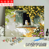 星恒梦 数字油画diy填色客厅装饰画简约花卉风景卡通动物手工涂色丙烯画 窗前的猫 40*50cm绷好内框+笔料