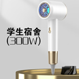 DEMSEN电吹风机宿舍学生专用800w以下小功率500w静音300w负离子1200护发 时尚白【300w】学生宿舍