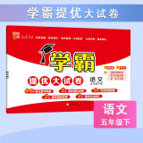 2025版 学霸提优大试卷五年级下册语文人教部编全国通用版 经纶5星5下测试卷期中期末考试单元卷子