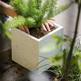 掬涵北欧轻奢镁泥花盆大号落地现代客厅简约绿植盆可种树户外盆栽花器 托盘圆形大号单个