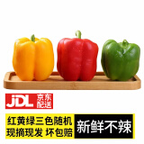 良知农哥 【JDL】新鲜圆椒五彩椒绿色七彩甜椒 健康轻食 5斤 红黄绿三色随机