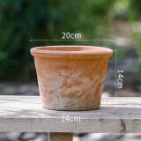 掬涵红陶小花盆多肉绿植盆花器特大号粗陶陶土透气泥瓦培栽盆种植花器 B款大号1个(20*14cm)