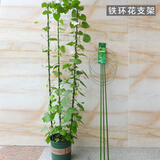火有水爬藤架子花支架月季花架植物室内花卉支撑杆园艺铁线莲爬藤支架杆 调节款150cm高(四杆五圈/圈28CM) 中等