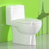 松鲸 双档节水家用坐便抽水马桶坐便器家用卫生间漩涡虹吸式防臭马桶 直冲式【直冲式 大冲力】 400mm