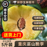 重庆巫山脆李【顺丰空运】新鲜直达脱骨青脆李子孕妇水果次日发 【彩箱】3斤45枚左右|混装