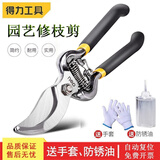 得力（deli）果树剪刀剪枝剪刀修枝剪省力剪子园林盆栽花卉园艺修剪树枝剪粗枝 碳钢花木剪DL2778