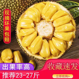 果尚语海南三亚黄肉干苞菠萝蜜现摘新鲜孕妇水果当季热带一整个菠萝蜜 23-27斤