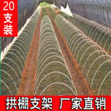20根小拱棚支架拱杆竿大棚内棚套棚骨架玻璃纤维杆地膜园艺农用 5毫米粗1.8米长20根