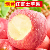 苹之都烟台苹果水果栖霞红富士新鲜水果生鲜山东特产脆甜整箱礼盒礼品 净重4.5斤(果径75mm+)