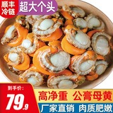 海乡客 特大号冷冻带黄扇贝肉 大帆立贝肉生鲜贝类海鲜烧烤食材商用批发 超大扇贝肉1000g约40-60只 【商超同售】
