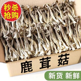 鹿茸菇干货鹿茸菌500g毛重古田脆脆菇新鲜土特产煲汤食材香菇 【当季新货】农家鹿茸菇 250克